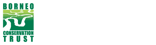 ボルネオ保全トラスト(Borneo Conservation Trust)は、マレーシア・サバ州政府から認められたトラストで、生物多様性の保全と野生生物の生息域である「緑の回廊」を回復させる活動を行っています。